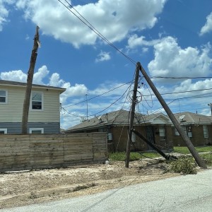 Utility lines and trees snapped all over Houston.